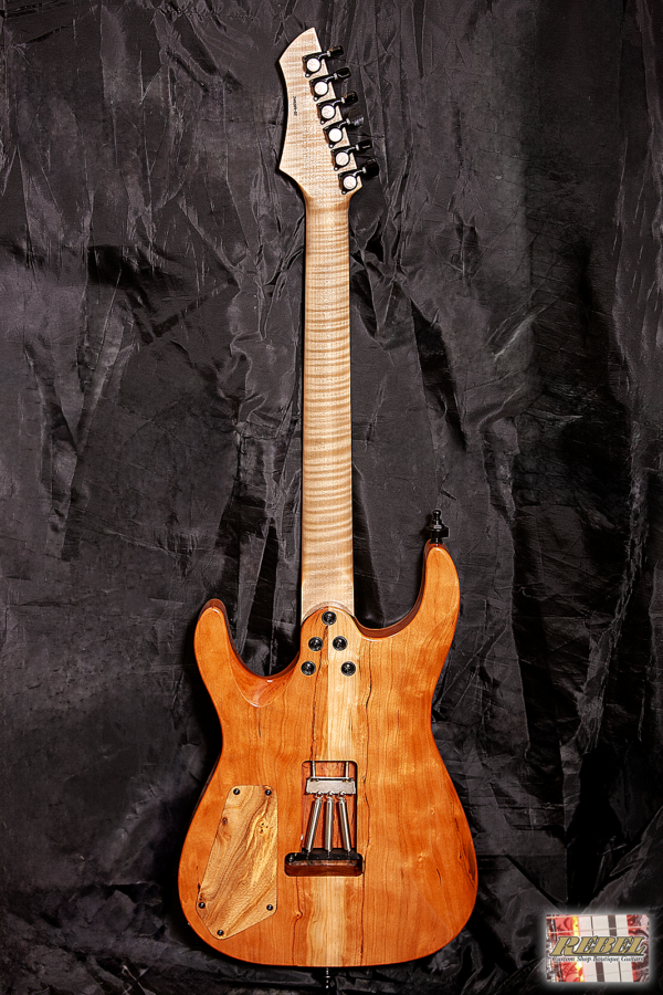 INCARNATE- Double Cutaway Exotic Wood Strat Style with Custom Switching! - Image 8